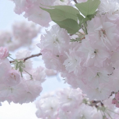 兽设火山场景设计Furry群